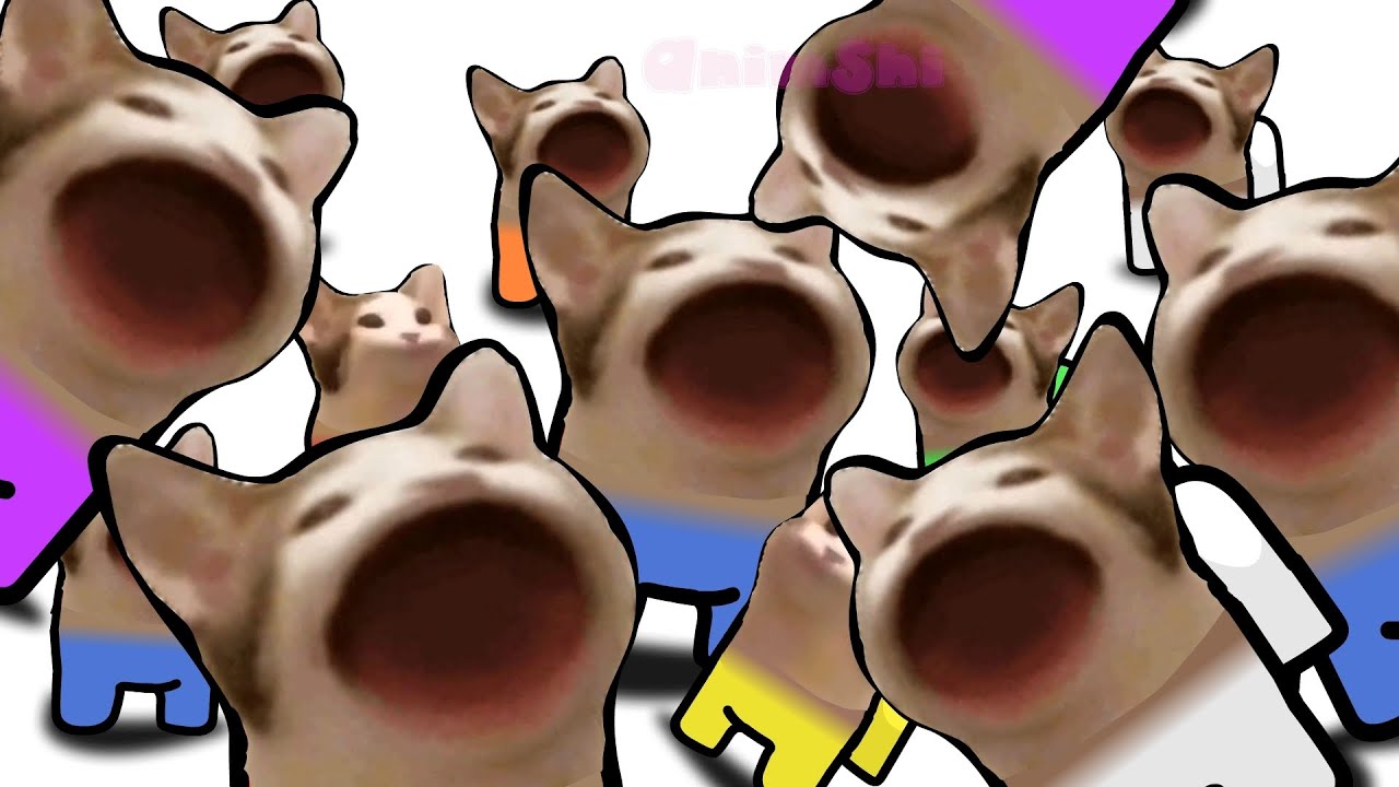 Among Us KILLING SPREE Pop Cat