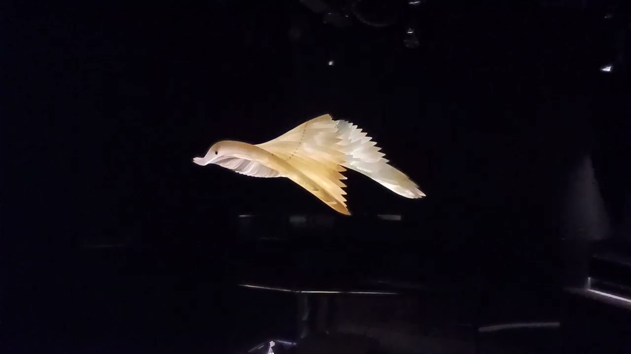 First Peoples Bunjilaka Melbourne Museum 15 October 2024