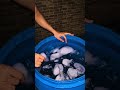 Ice Bath 🛁 chl rhi hai baba ki dya t 🙏 #motivation #icebath #fitness #shorts #videos