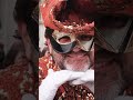 Venice Carnival  #italy #venice #shortsfeed #shortsyoutube #shortvideo #shorts #short