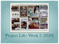 Project Life - January Part 2 (2020)