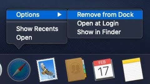 How to Remove Icons from the Dock in MacOS Mojave