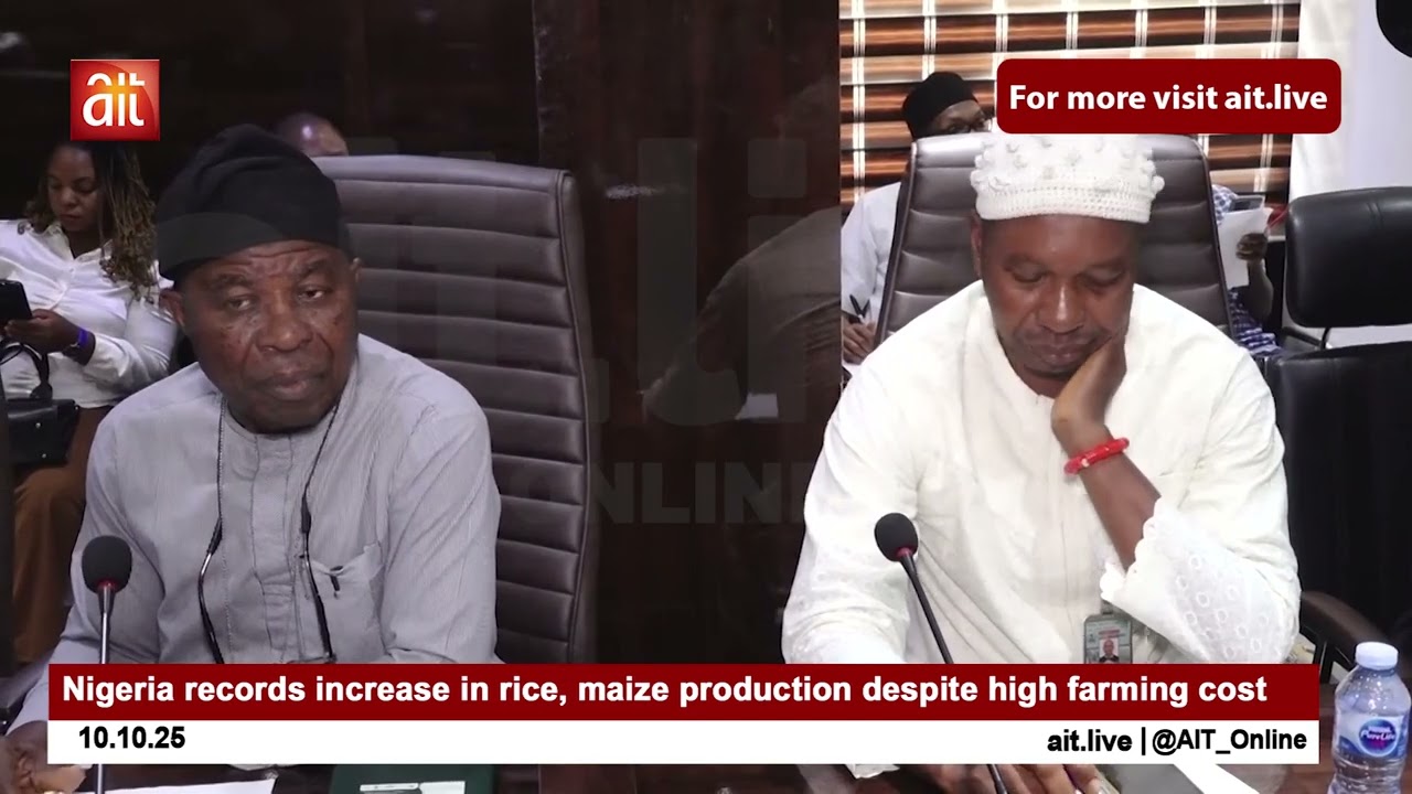 Нигерия зафиксировала рост производства риса и кукурузы, несмотря на высокие затраты на сельское ...