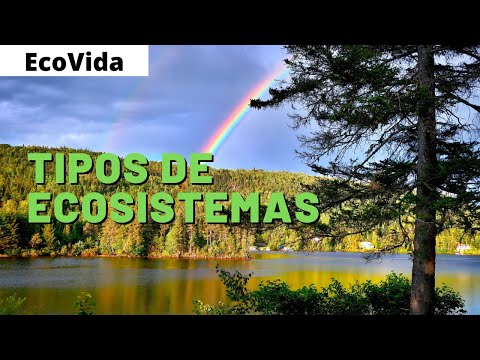 TIPOS de ECOSISTEMAS 🌳 (CARACTERISTICAS, FLORA y FAUNA)