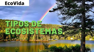 TIPOS de ECOSISTEMAS 🌳 (CARACTERISTICAS, FLORA y FAUNA)