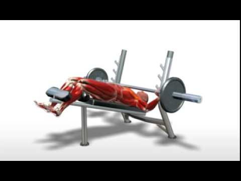 Exercise Videos Barbell Decline Bench Press Youtube