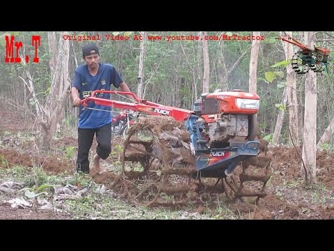 Cara Mluku atau Membajak Sawah Sebelum Ditanami Padi (T 