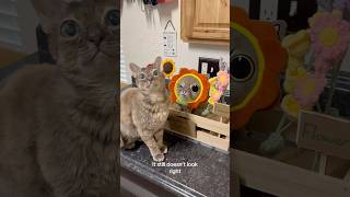 Look At The Link In My Bio