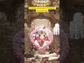 Shri siddhivinayak live darshan today  ganpati bappa morya  siddhivinayak mumbai hinduismtrc