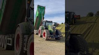 Silage Season 2025 😍🫠💪🏻 #fendt #silage #ensilage #maissilage #trinciato