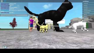 Playing in roblox in animation lab 2.0 NOW THEY HAVE CATS!!!!