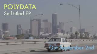 Famous Polydata EP - Teaser 2 Net Worth
