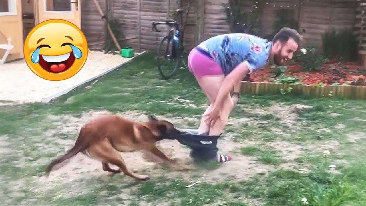 Try Not To Laugh 🤣 Top 100 Funniest Videos Ever 🎬🔥 Memes, Epic Fails & Pranks Compilation Part 24