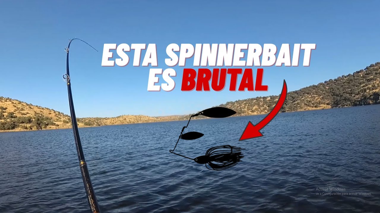 Así REVENTÉ una Punta a finales de Verano #pesca #fishing #bassfishing #blackbass