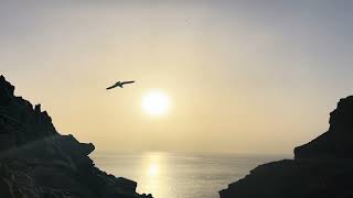 Can't Sleep? 1.5 Hours Sunset Ocean Waves (No Music, Deep Sleep, Relaxing Nature Sounds)