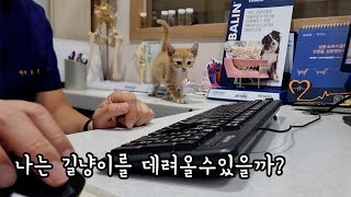 냥줍한지 3개월... 나는 얼마나 썼는가?... by 미유미-lab [고양이 연구소] 7,328 views 2 months ago 3 minutes, 59 seconds