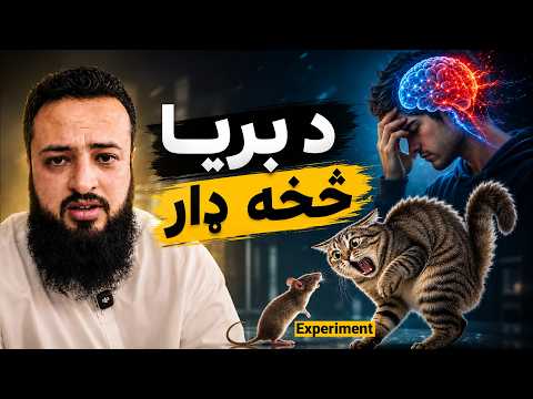 Fear of Success | Cat & Mouse LSD Experiment & Neuroplasticity | له بریا څخه ډار