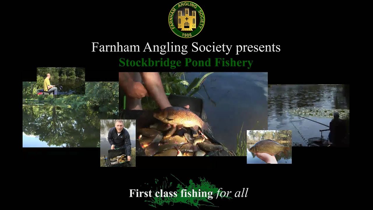 Farnham Angling Society - Stockbridge Pond Tilford - General Fishery