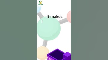 What role does data visualization play in data analysis? #datatypes #dataanalytics #data