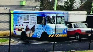 The New Bluey Soft Serve Truck In 2020 screenshot 3