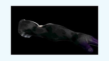 Tim Carter - Maya Fur Tutorial - 03 Fur Rendering