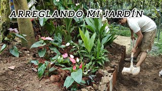 Arreglando mi jardín así quedó 😀 sembrando Anturios y renovando plantas 