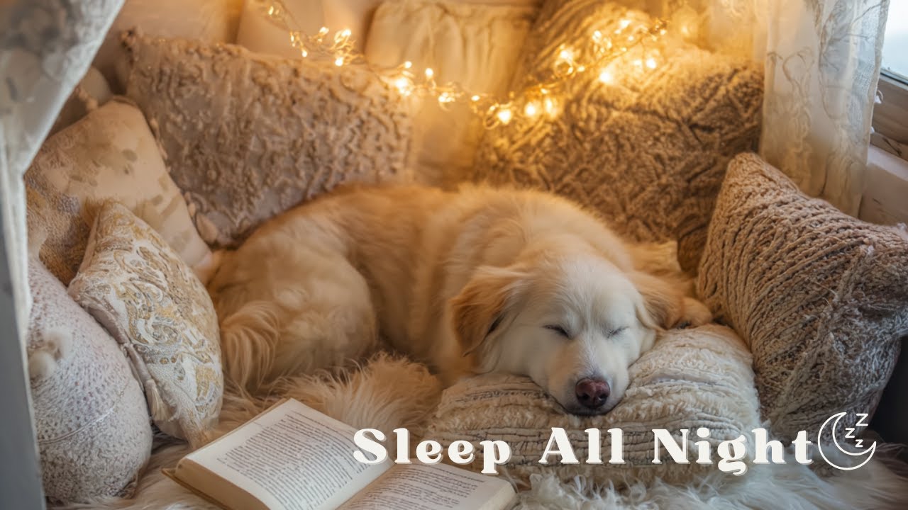 Sleep Music for Dogs 💤 Deep Calm Piano for Peaceful Rest (8 Hours)