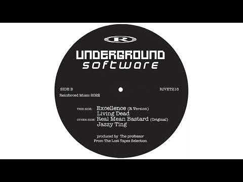 Underground Software — Underground Software - Real Mean Bastard (Original) (2022)