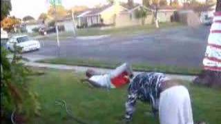 Backflip faceplant