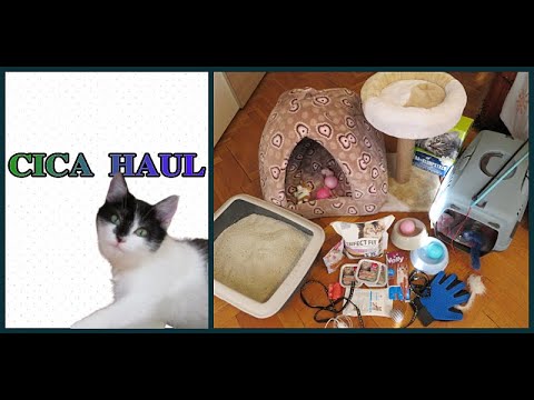 Videó: Milyen ételeket Kell Etetnie Az új Macskának