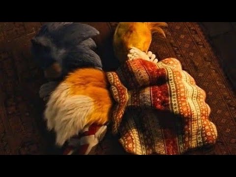 Sonic and tails are very cute rokudenashi one voice