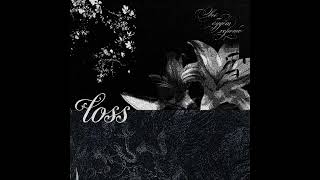 limedisx. - loss