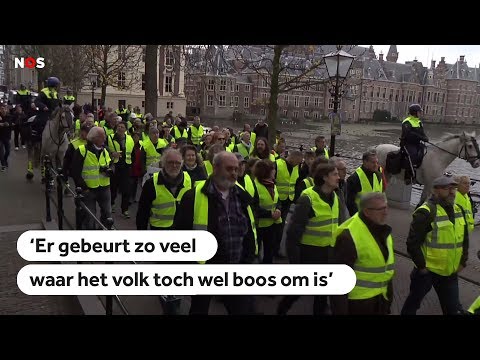 GELE HESJES: In Den Haag demonstreerden 'gele hesjes' naast het Binnenhof