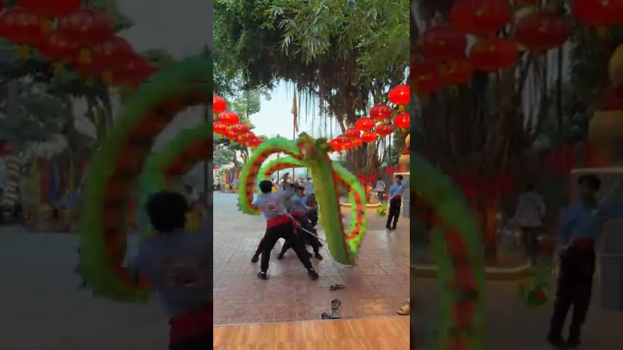 The Lion dance teams #liondance 