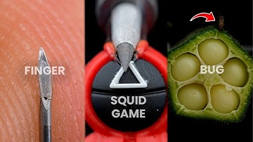 Macro ASMR Close Ups – The Beauty of Everyday Objects
