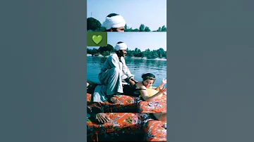 مساج لـ سائحة على ضفاف النيل Shorts 