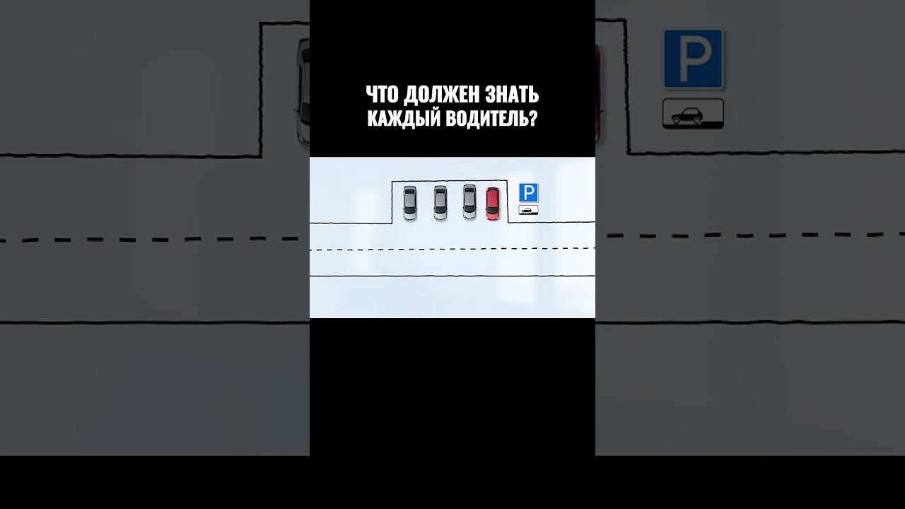 Что должен знать каждый водитель?
