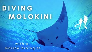 Diving Molokini With A Marine Biologist