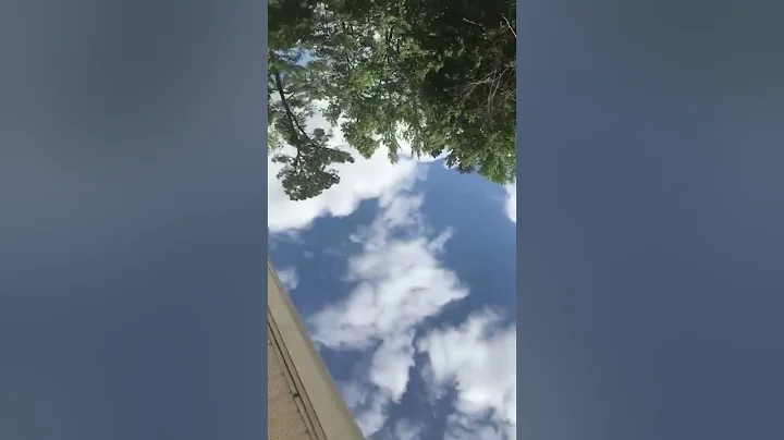 Scam contractor, Michael DeLong screaming and swea...