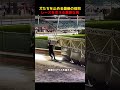 犬たちを止める最後の役目、レースを支える重要な男！#shorts #動物 #ペット