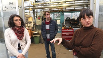 The Montreal Collection Part 3, The Bonsai Zone, Dec 2022