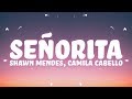 Shawn Mendes, Camila Cabello - Señorita (M+ike Remix) (1 Hour)