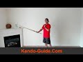 Live Kendo Training: Strong Chudan no Kamae