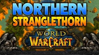 Priestess Thaalia | WoW Quest Guide