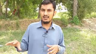 Web Designing Pro Tips In Urdu | Professional Web Designer | Web Page Design Tips Tutorials In Hindi