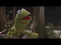 Rainbow connection by kermit the frog from the muppet movie