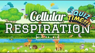 Cellular Respiration Quiz | Test Your Biology Knowledge! 🔬 | MISTER_BIO