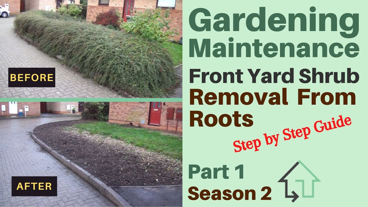 Gardening Maintenance: Front Yard Shrub Removal From Roots - Season 2 ...