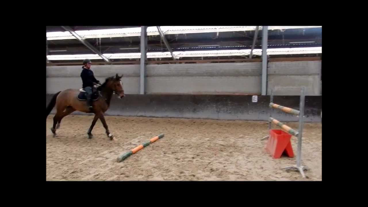 Paris du Driepikkel Z