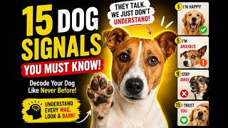 The Secret Language of Dogs
